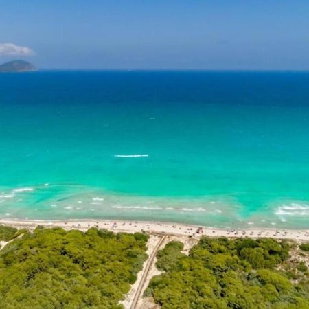 Beach House Alcudia Kültér fotó